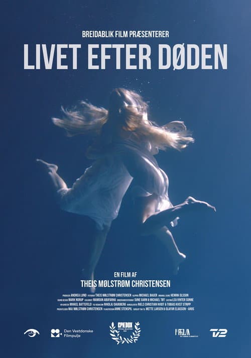 Livet Efter Døden