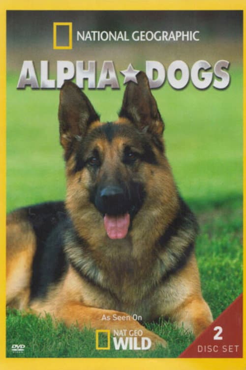 Cães Policiais
