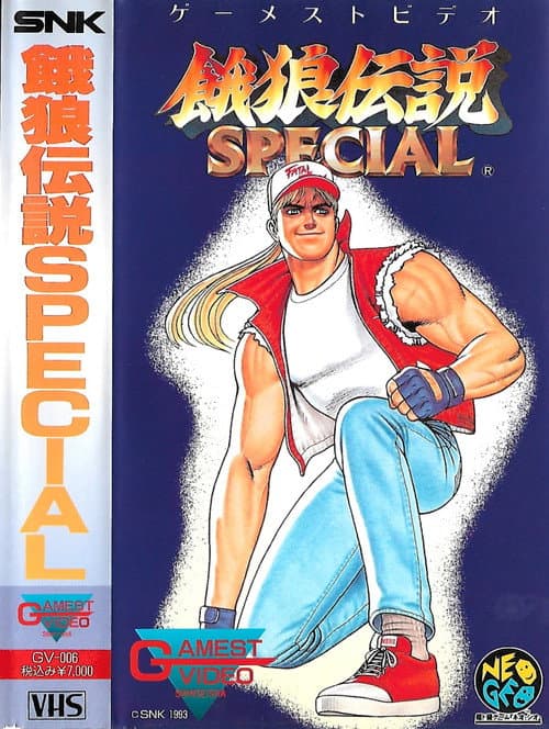 ゲーメスト ビデオ VOL.6 餓狼伝説 SPECIAL