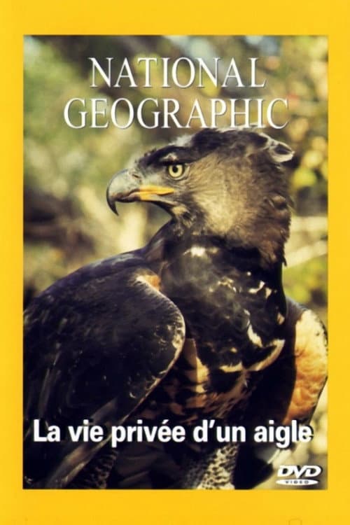 National Geographic - La vie privée d'un aigle