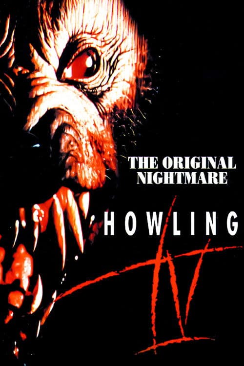 Grito de Horror 4: Um Arrepio na Noite