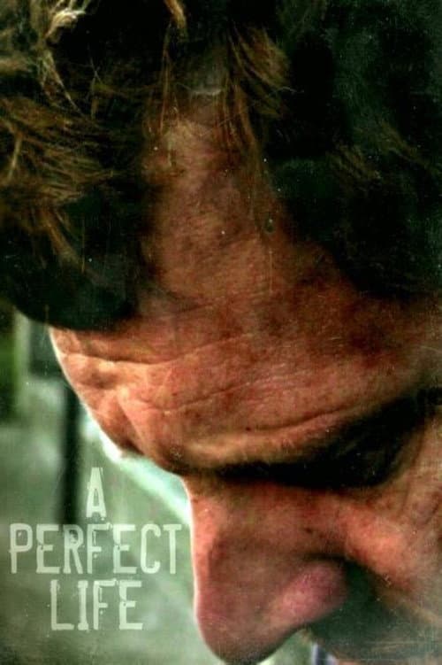 A Perfect Life