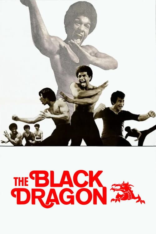 The Black Dragon