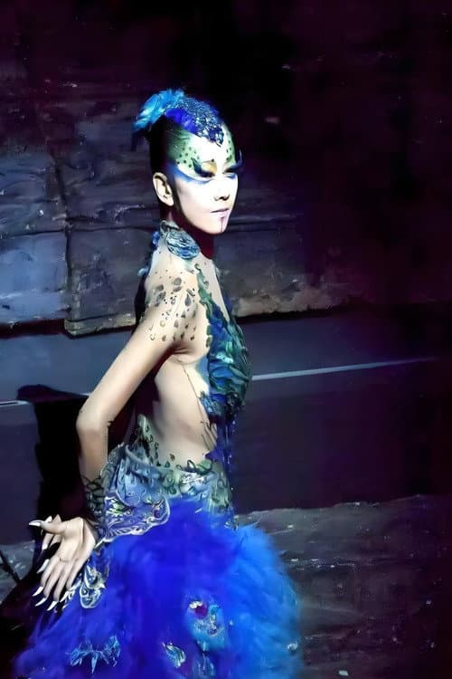孔雀东南飞 杨丽萍舞蹈作品选