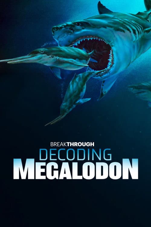 Decoding Megalodon