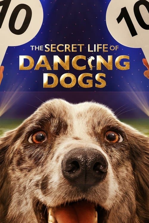 A Vida Secreta dos Cães Dançarinos