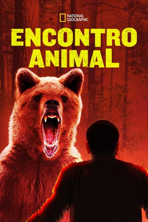 Encontro Animal