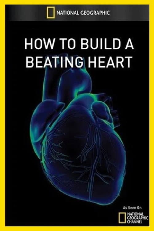 How to Build A Beating Heart