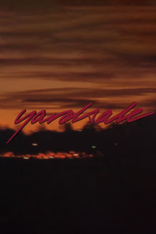 The YS Video