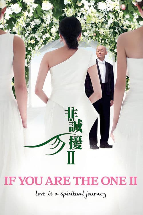 非诚勿扰2
