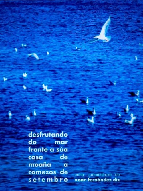 enjoying the sea in front of his house in moaña in early september