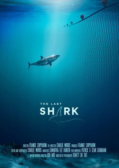 The Last Shark