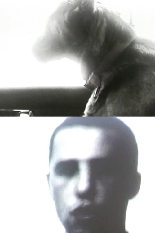 B. Stéphane
