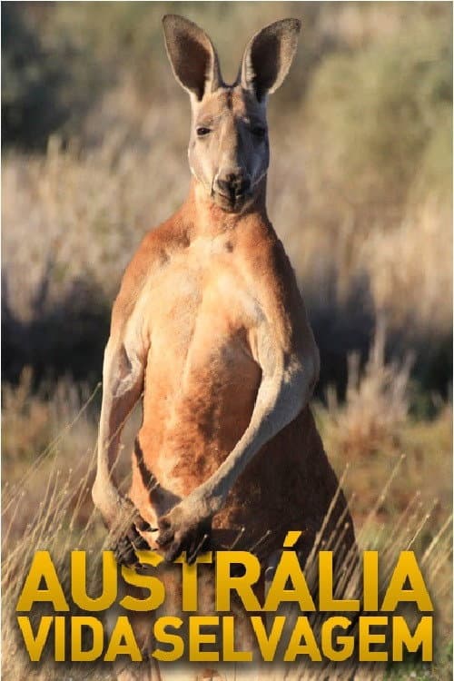 Austrália Vida Selvagem