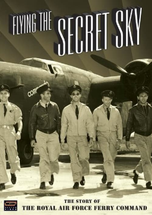 Flying The Secret Sky