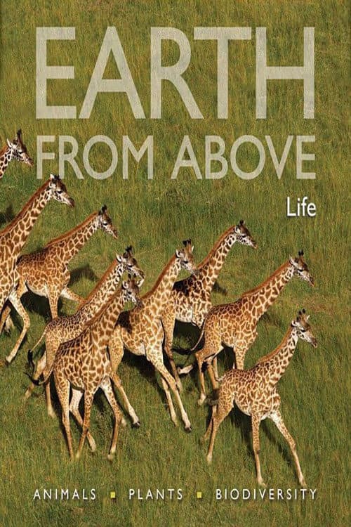 Earth From Above: Life