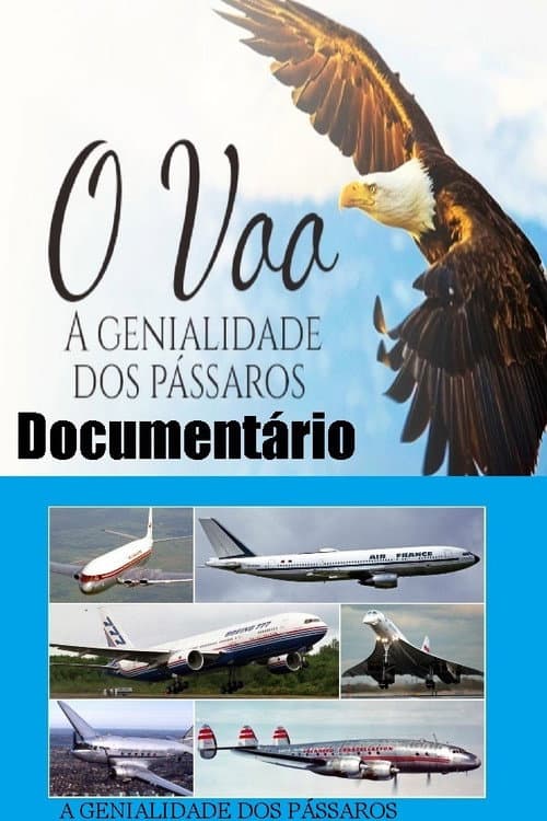 Documentário O voo(2018)