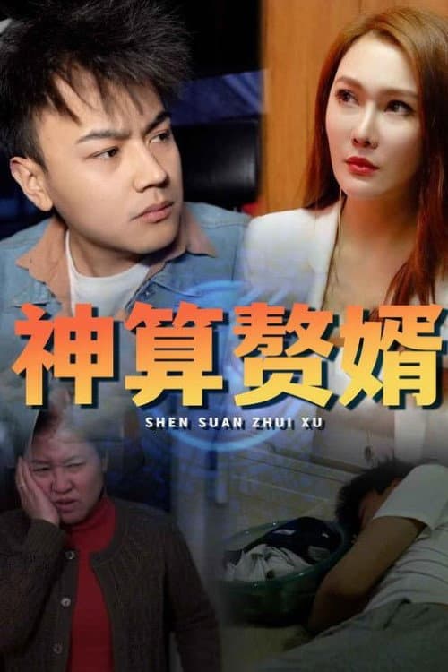 神算赘婿
