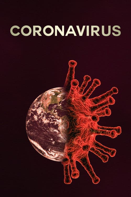 O Novo Coronavírus