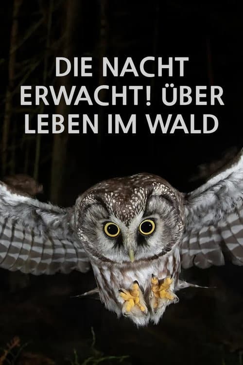 Die Nacht erwacht! Über Leben im Wald