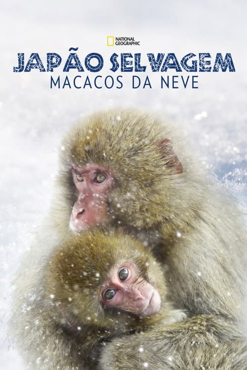 Japão Selvagem: Macacos da Neve