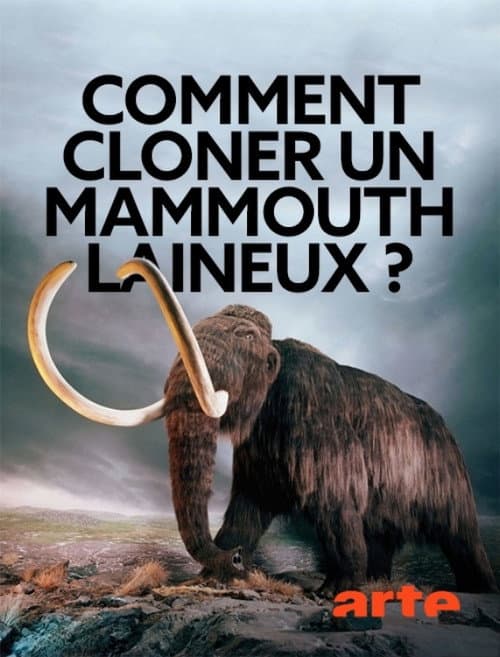 Woolly Mammoth: The Autopsy