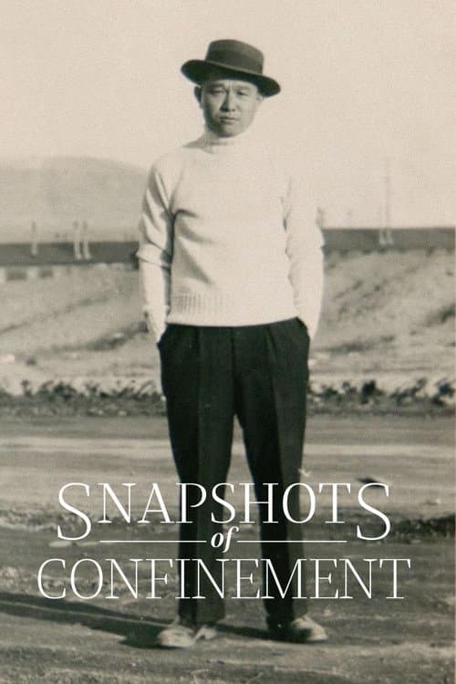 Snapshots of Confinement