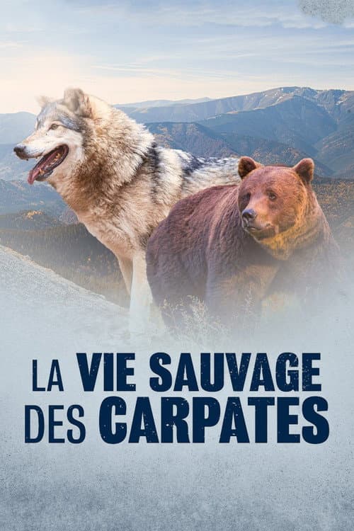 A vida selvagem dos Cárpatos