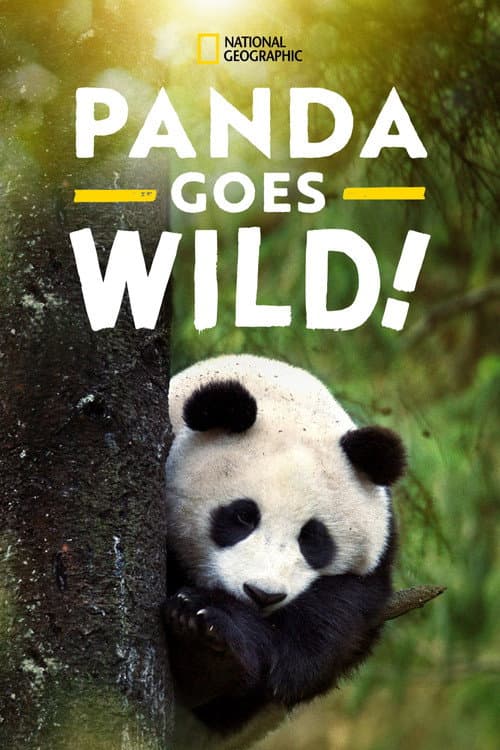 Pandas Selvagens
