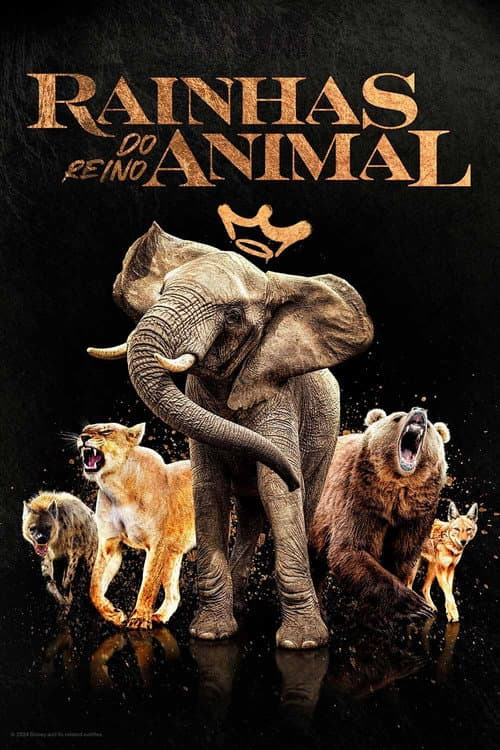 Rainhas do Reino Animal