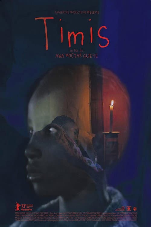 Timis