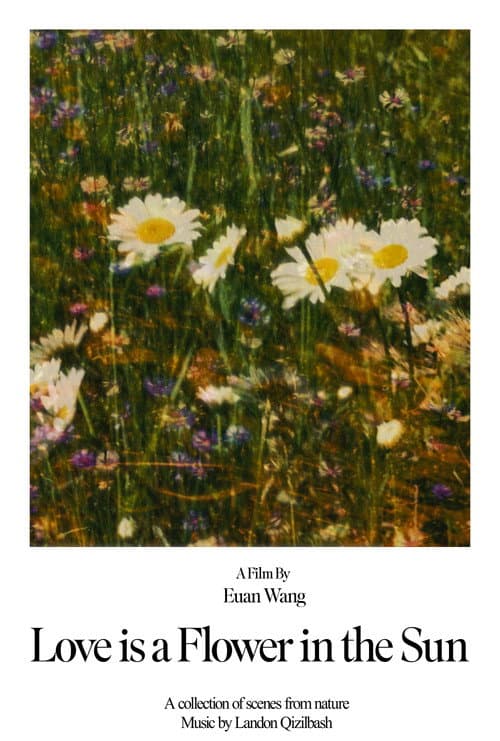 Love is a Flower in the Sun