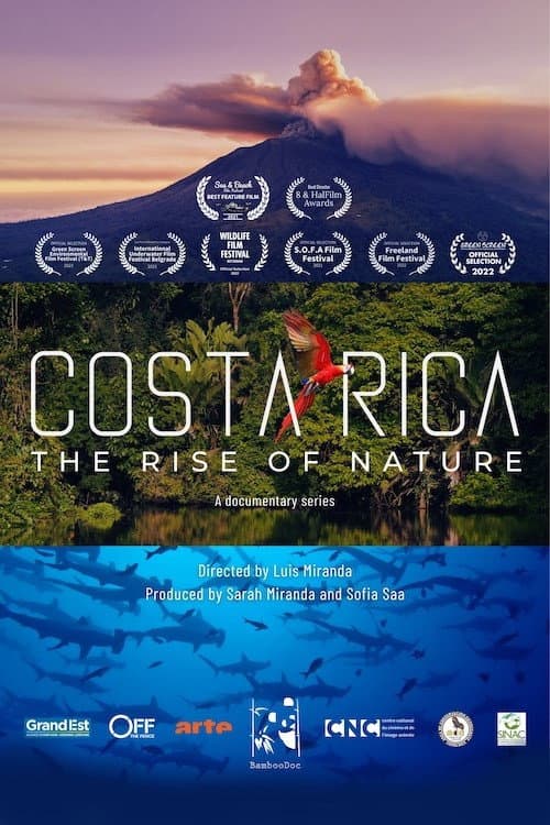 Costa Rica: O Despertar da Natureza